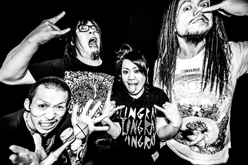 Maximum the Hormone